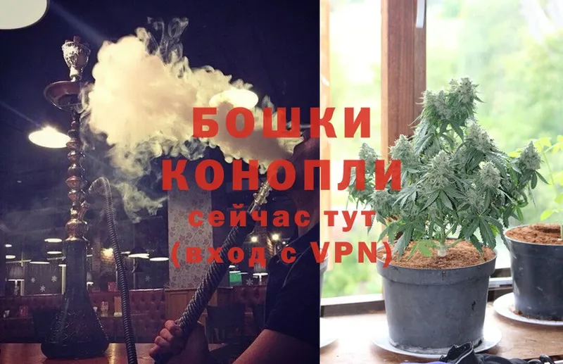 Бошки Шишки OG Kush  купить  цена  ОМГ ОМГ   Людиново 